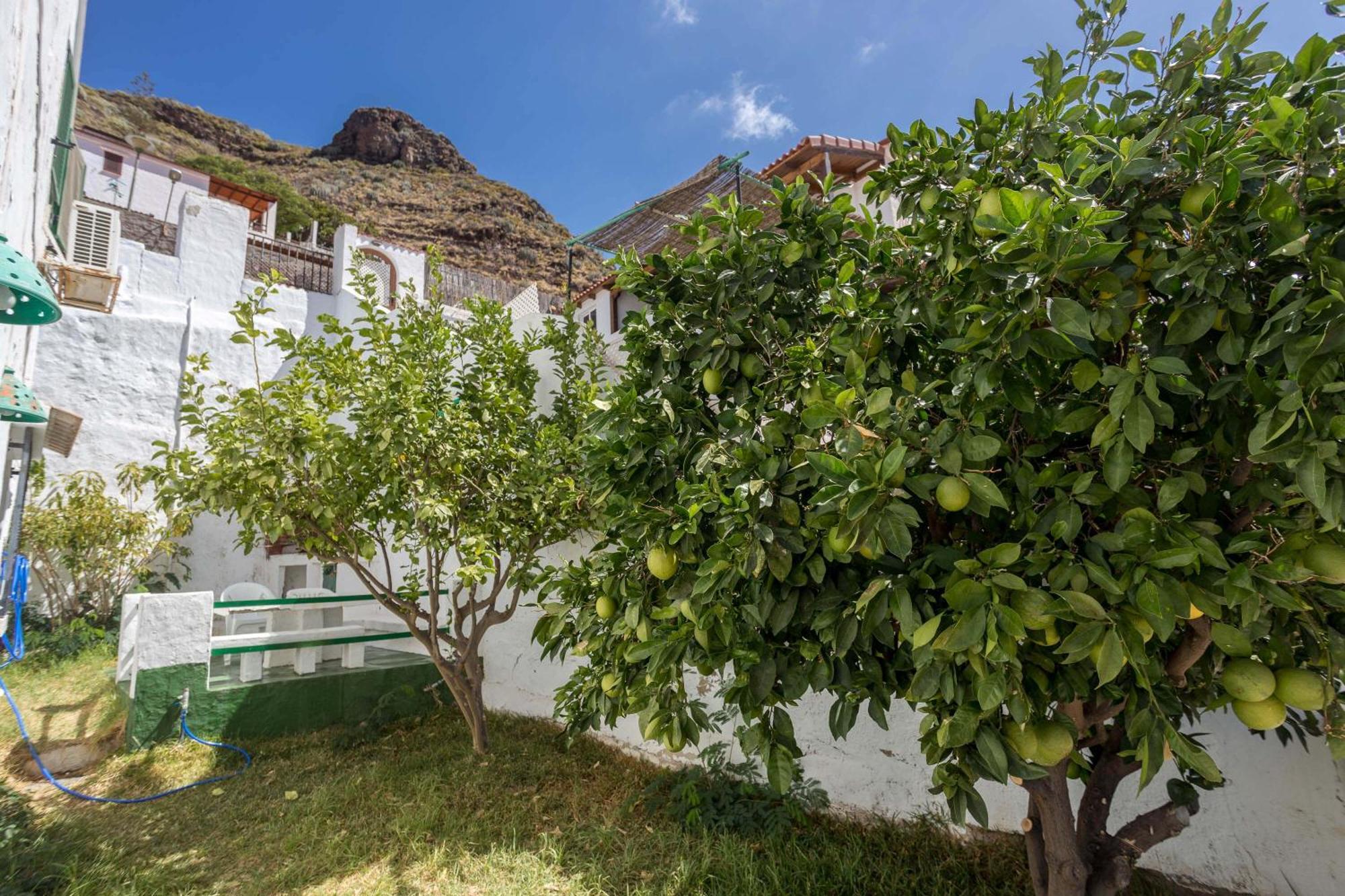 Casa Carmen Agaete Con Terraza Y Vistas Al Mar Apartment Екстериор снимка